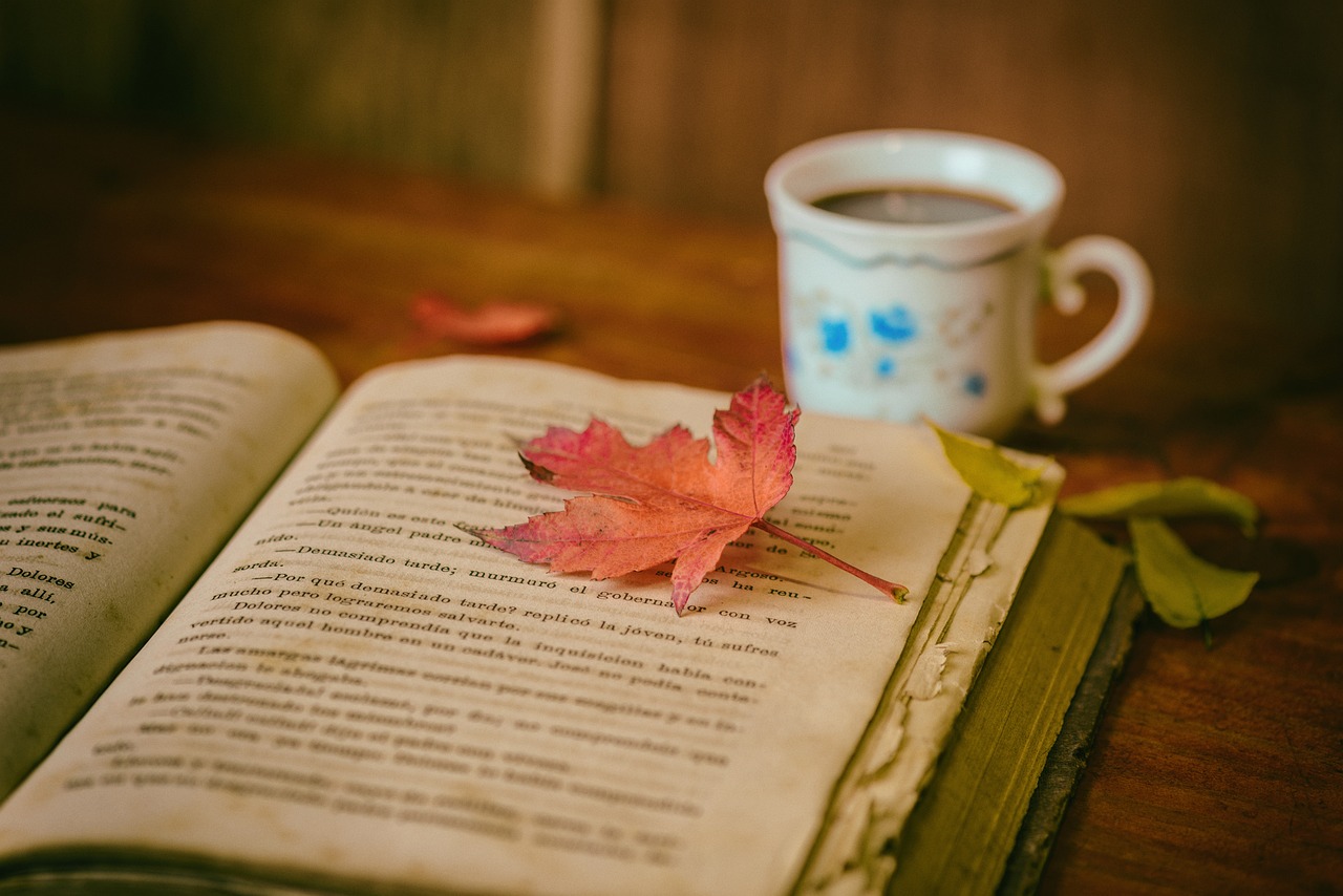 Book 2